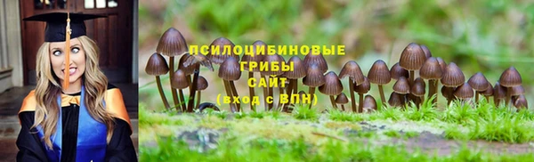 молекула духа Новокубанск