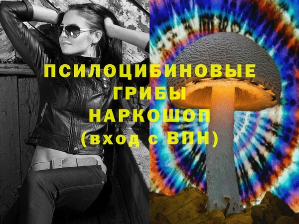 молекула духа Новокубанск