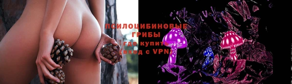 молекула духа Новокубанск