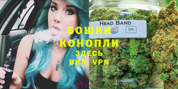 мескалин Новодвинск