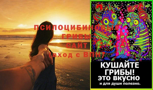 мескалин Новодвинск