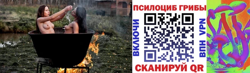 дарк нет официальный сайт  Когалым  Псилоцибиновые грибы MAGIC MUSHROOMS 