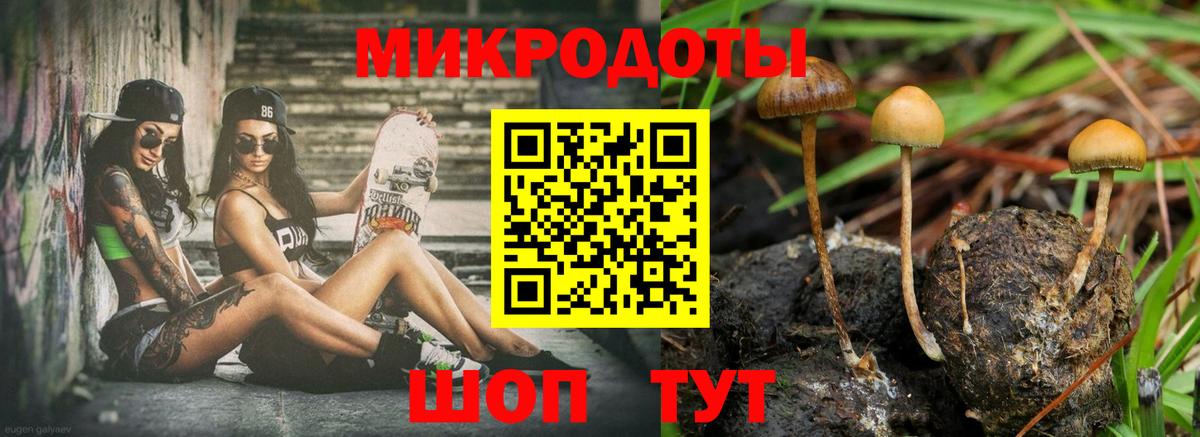 Когалым  Псилоцибиновые грибы мухоморы  Вход с VPN 